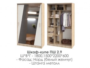 шкаф-купе ПШ-2.9 1500 Норд Белый жемчуг 1500 в Радужном - raduzhnyj.magazin-mebel74.ru | фото