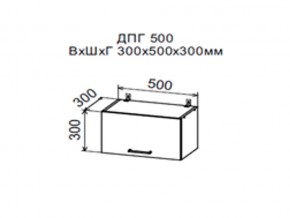 Шкаф верхний ДПГ500 горизонтальный в Радужном - raduzhnyj.magazin-mebel74.ru | фото