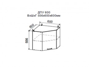 Шкаф верхний ДПУ600 угловой в Радужном - raduzhnyj.magazin-mebel74.ru | фото